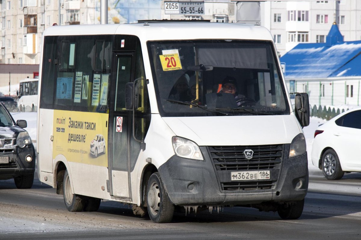 Автобус фото