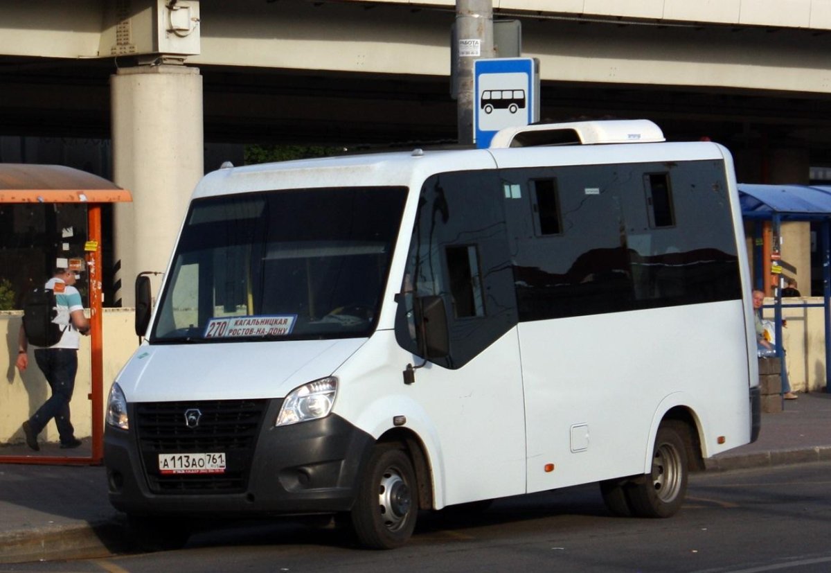 Луидор-225019 (ГАЗ next)