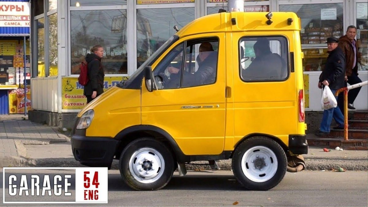 Газель коротыш