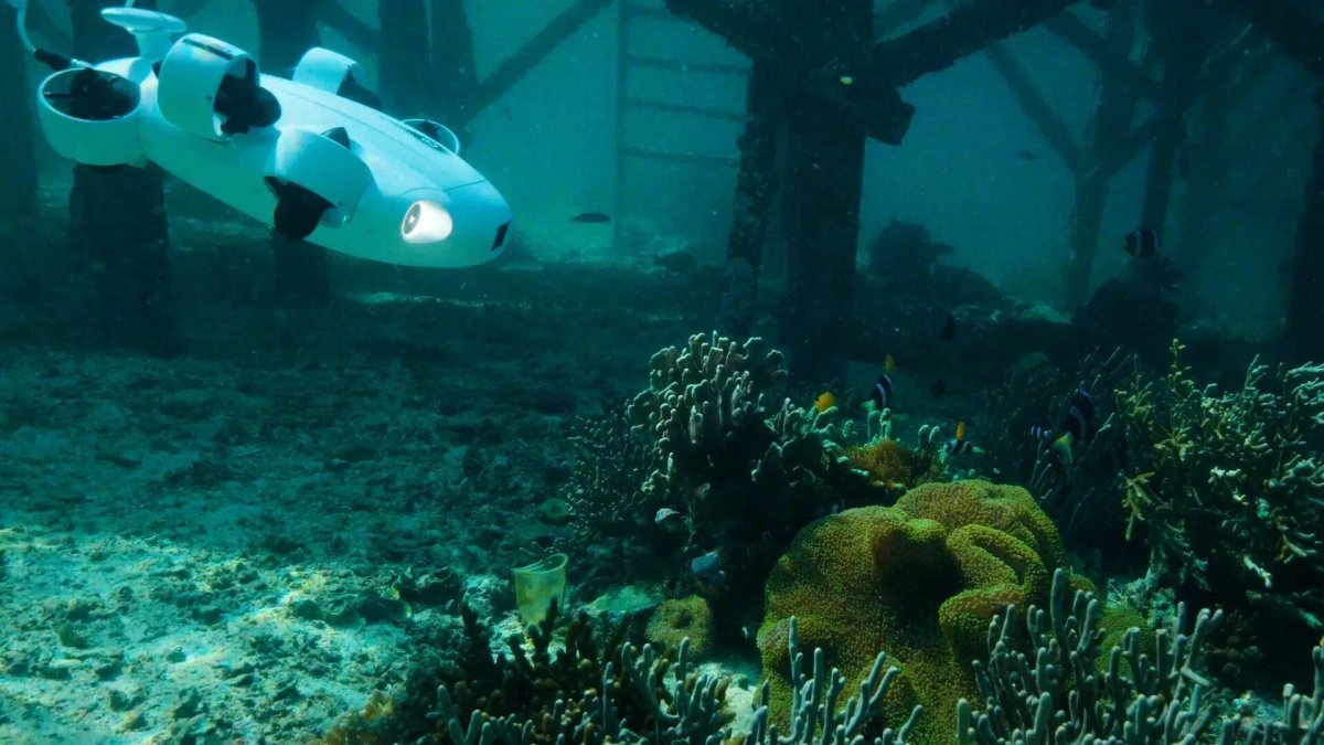 Подводный мир