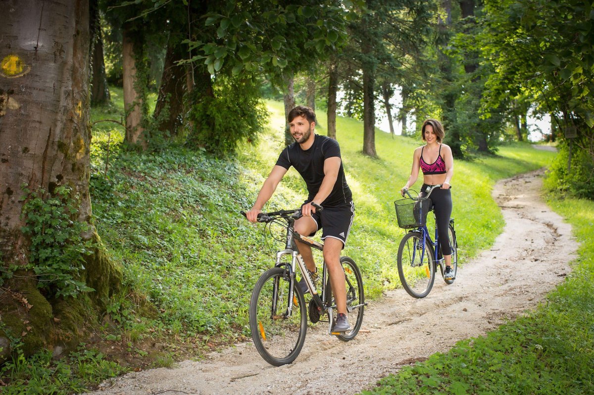 Велопрогулки в лесу