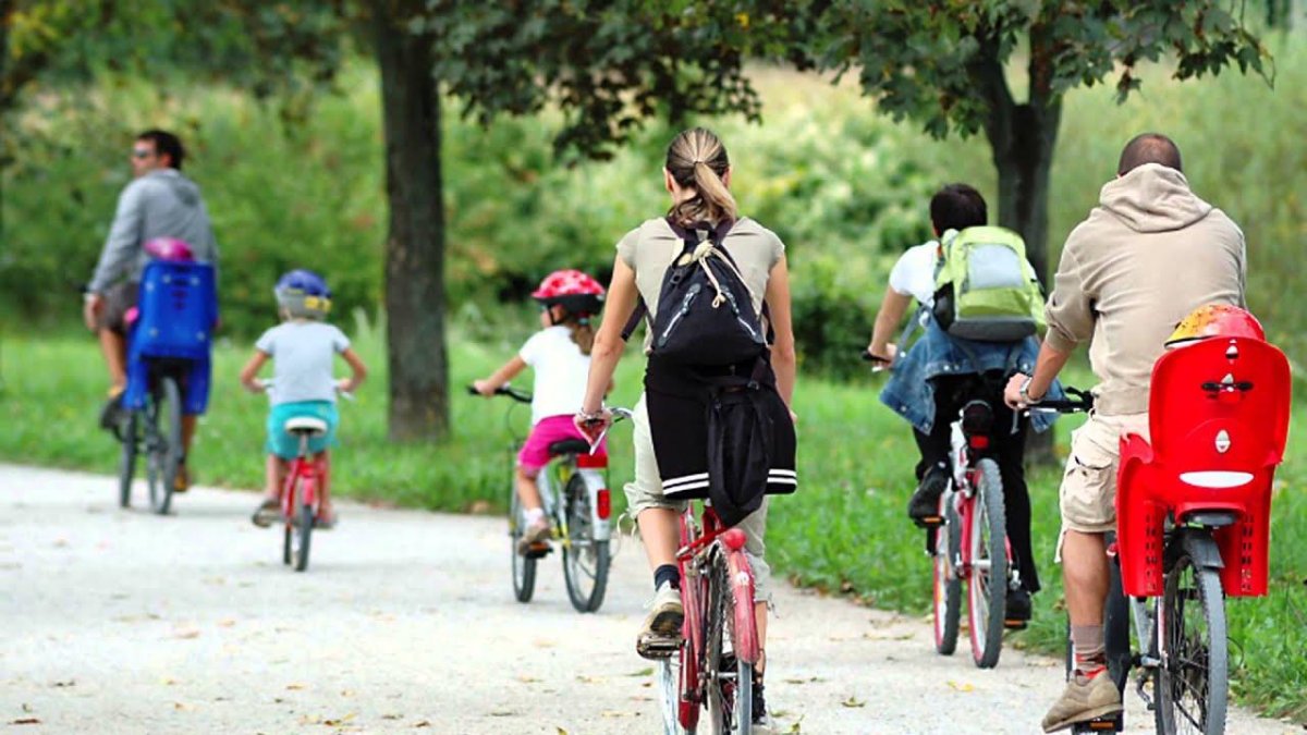 Велопрогулки с семьей