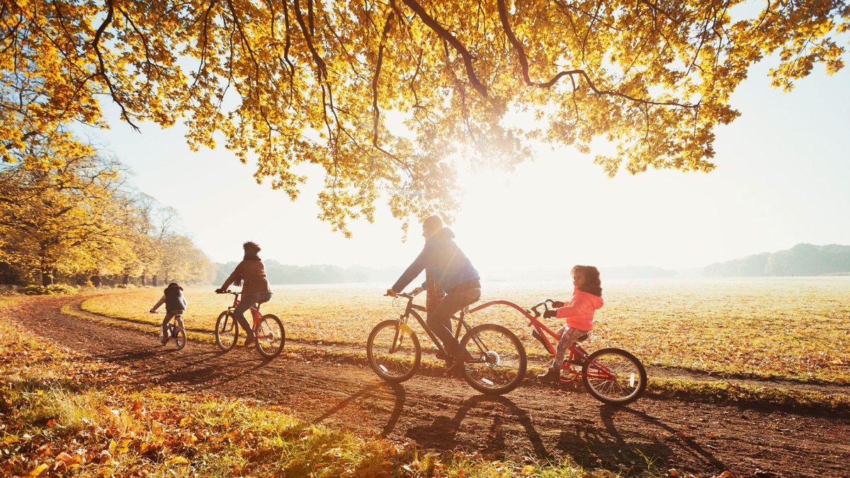 Велосипедисты семья