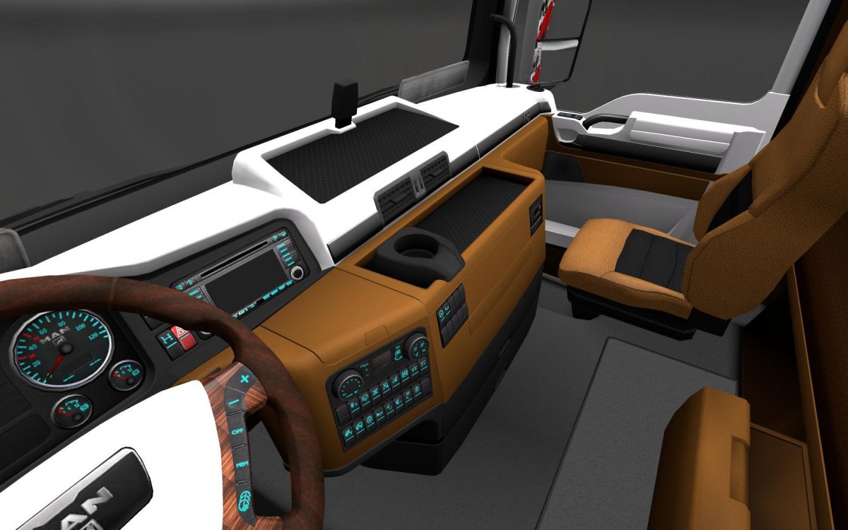 Man TGX Interior