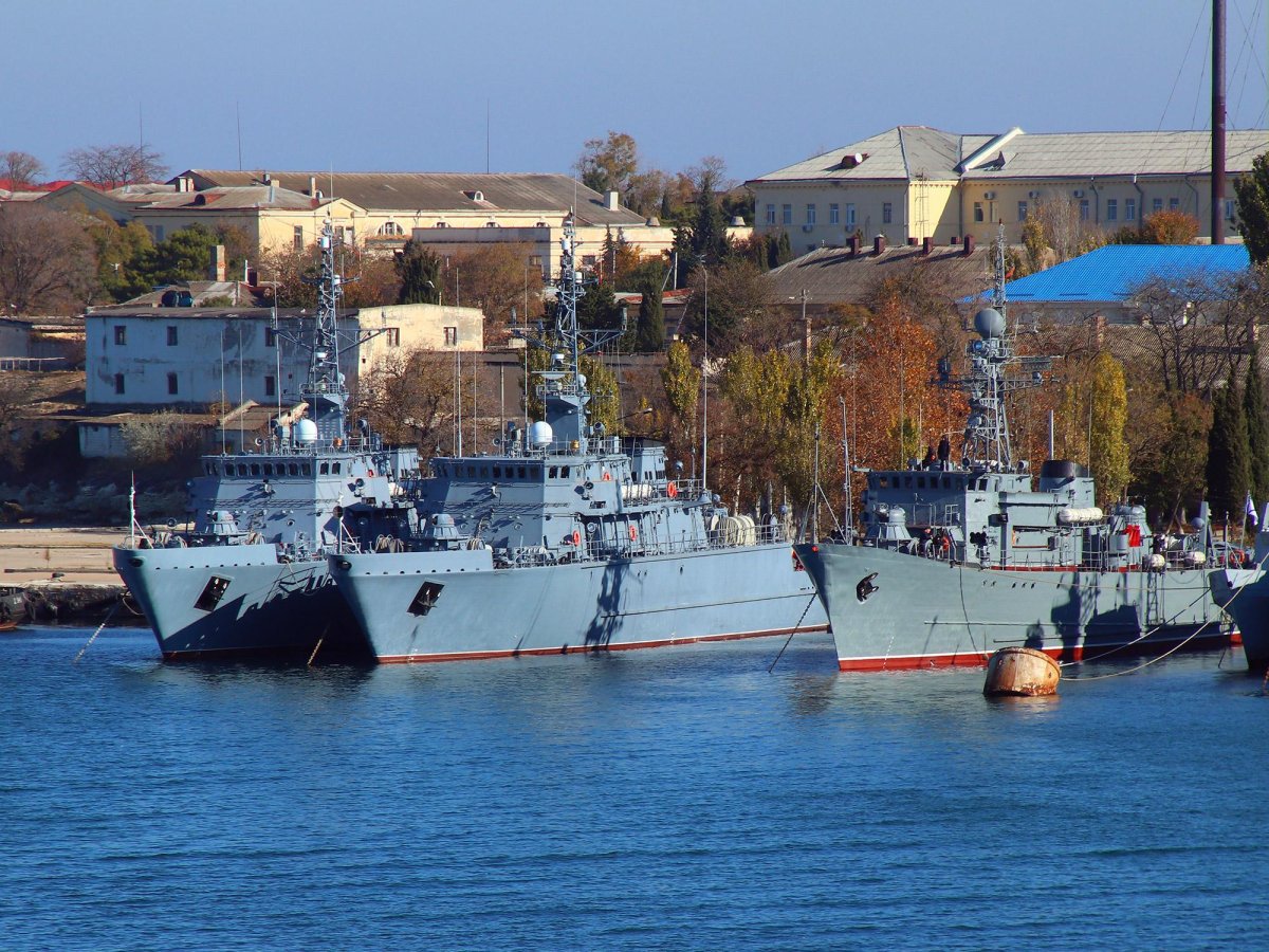 Ковровец тральщик Черноморский