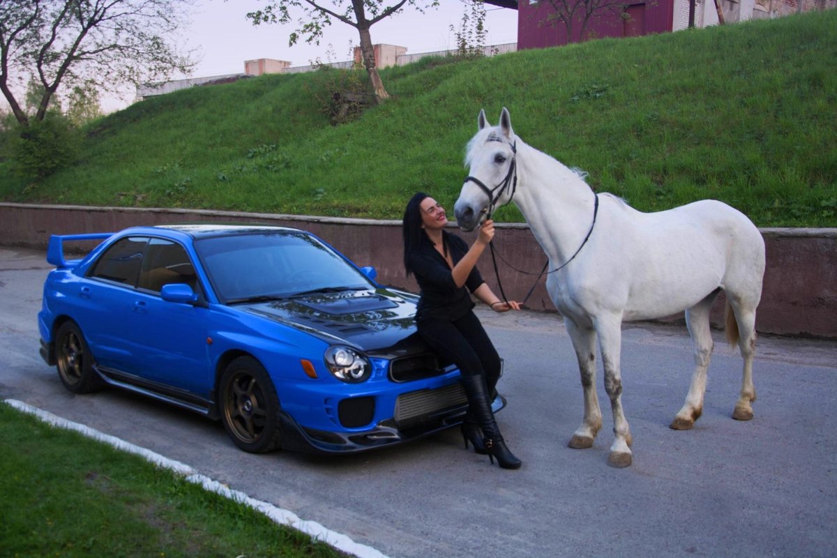 Лошадиная голова машина