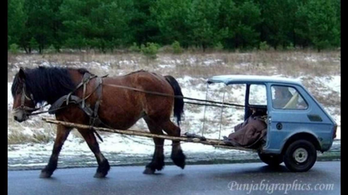 Повозка с лошадью