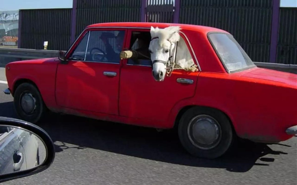 Машина с лошадкой