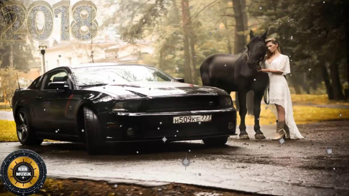 Форд Мустанг и лошадь