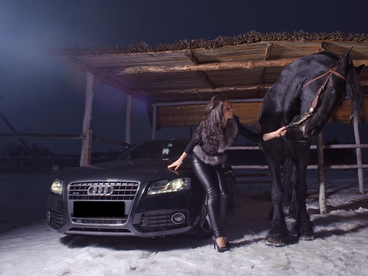 Лошадь и машина фотосессия