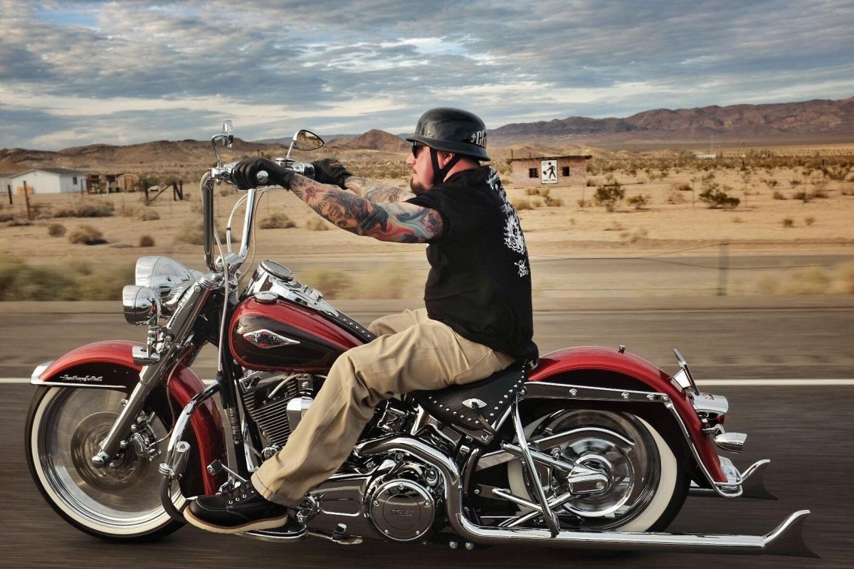 Harley Davidson Softail Deluxe Chicano