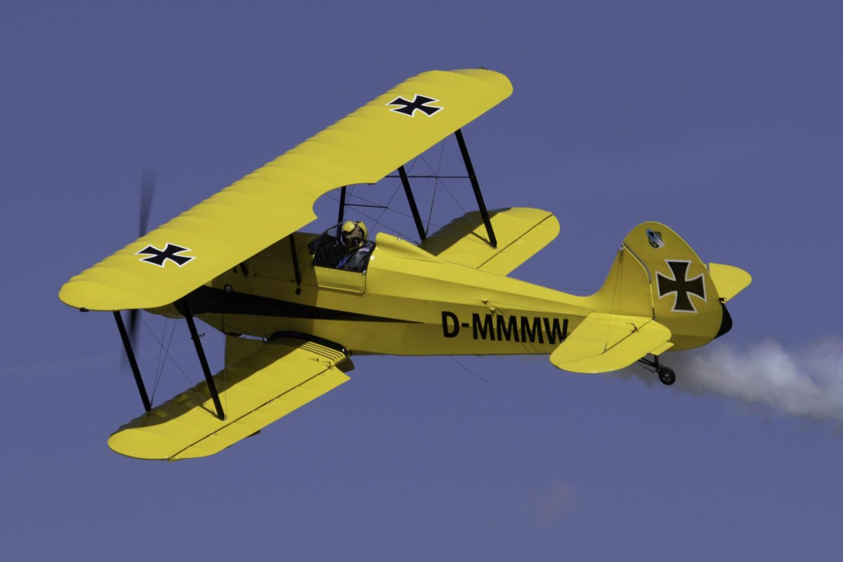 Биплан пина