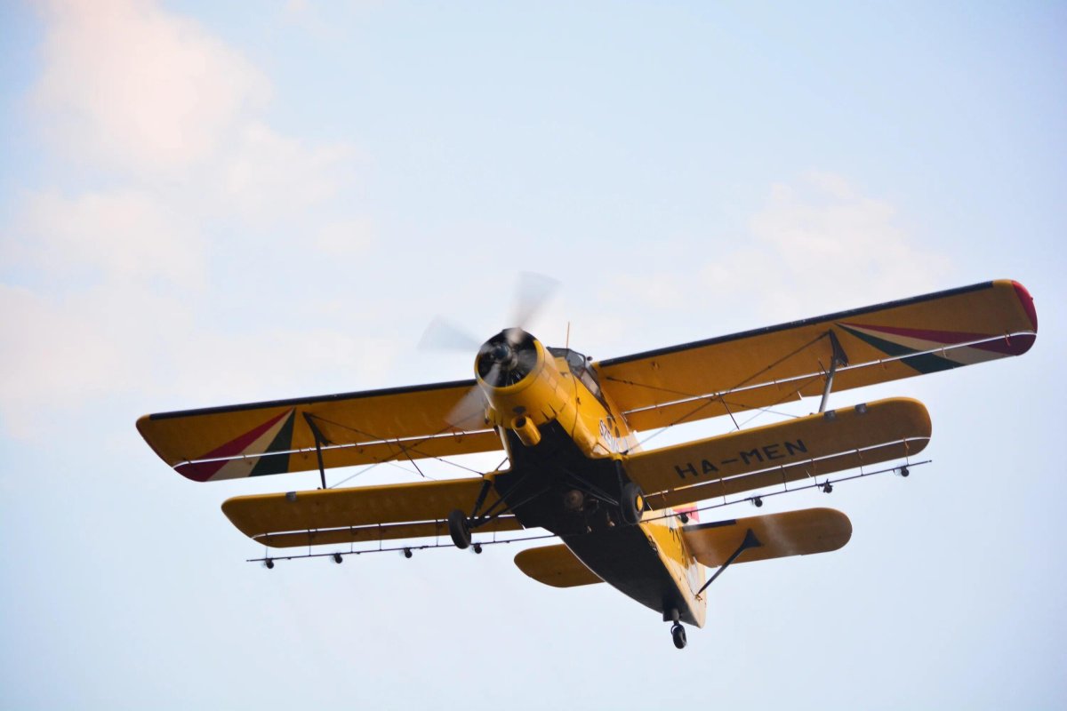 Самолет пропеллерный АН 2