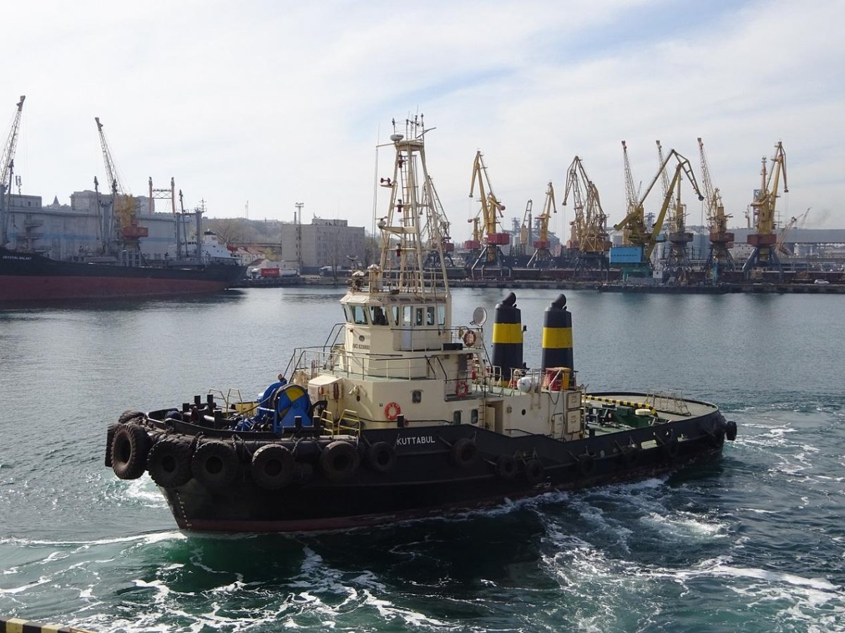 Каботажный флот