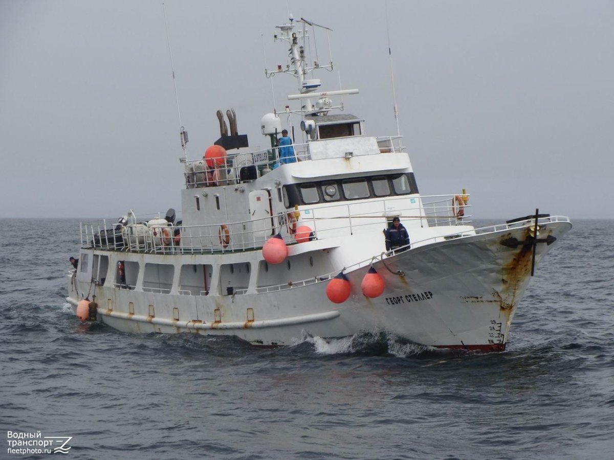 Годен для прибрежного плаванья