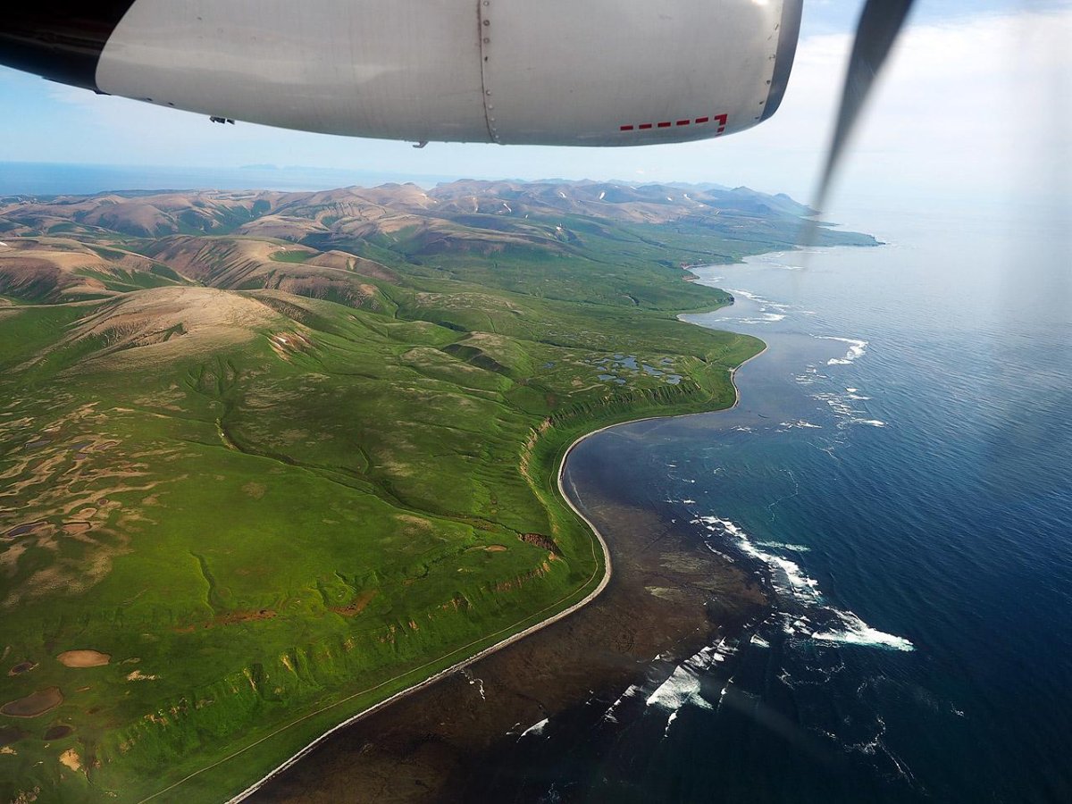 Командорские острова Камчатка