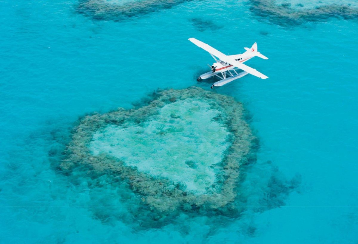 Большой Барьерный риф Квинсленд