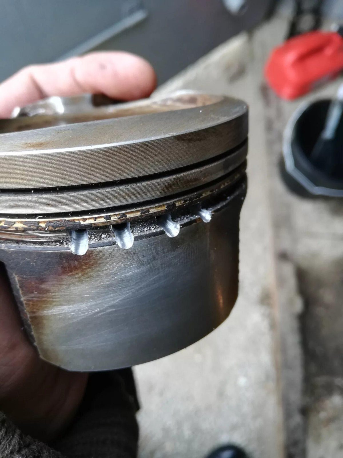 Маслосъемные кольца 1g Fe Beams
