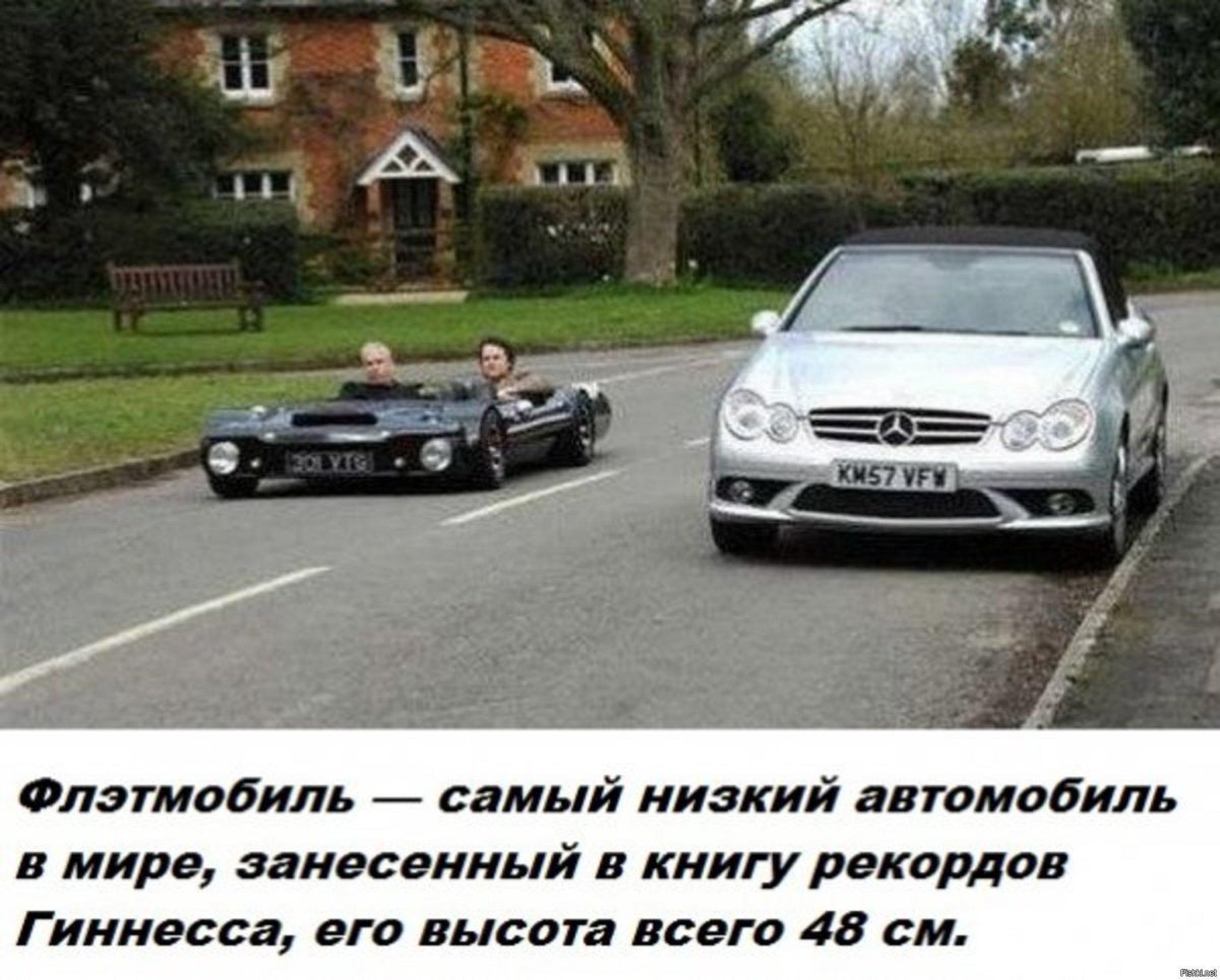 Flatmobile (Флэтмобиль)