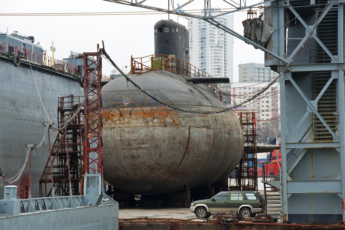 Подводные лодки проекта 877 «палтус»