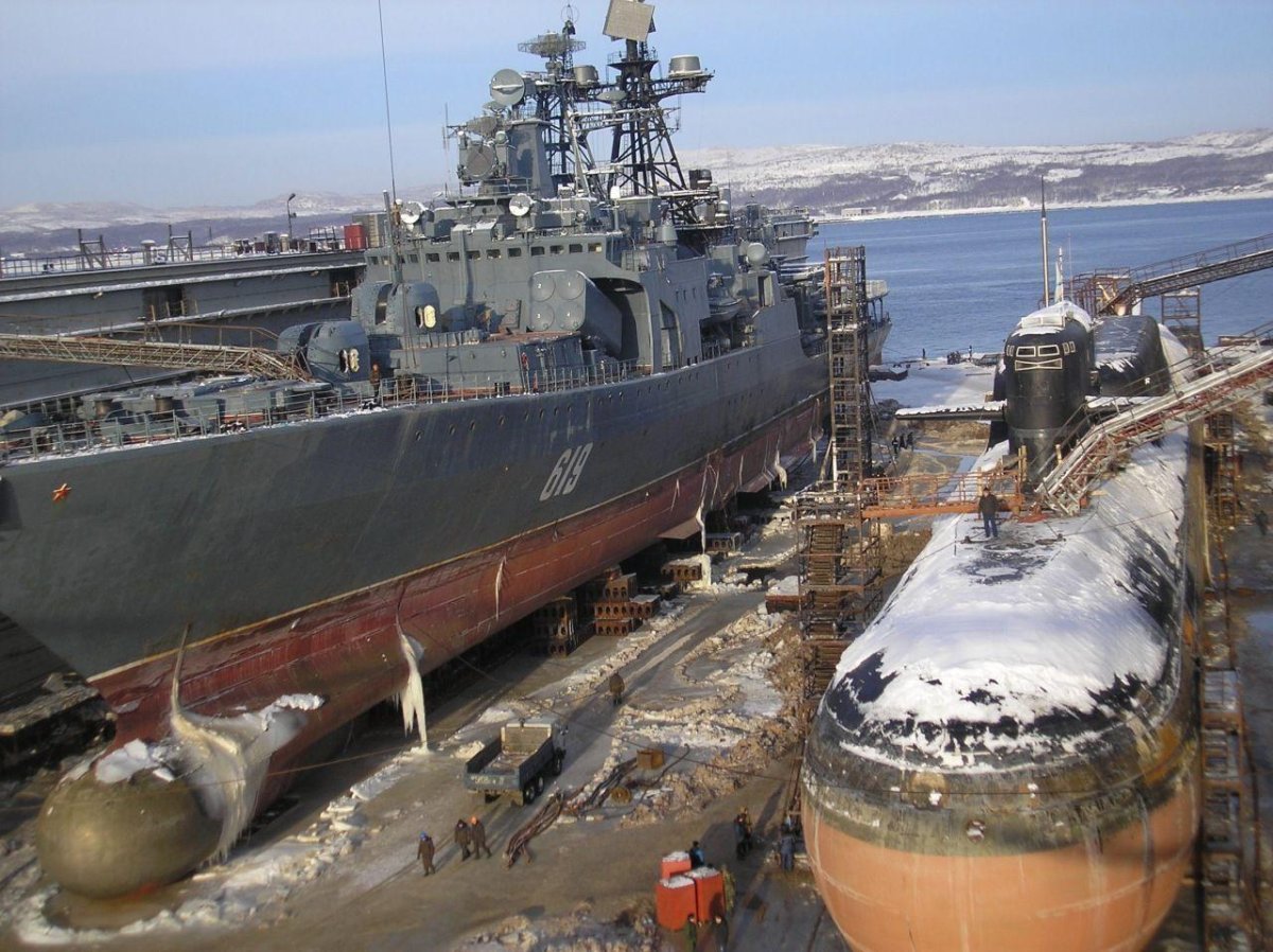 Подводные лодки проекта 667бдрм «Дельфин»