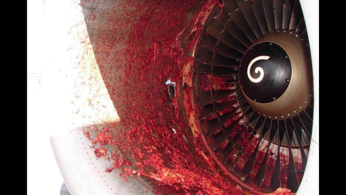 Турбина самолета