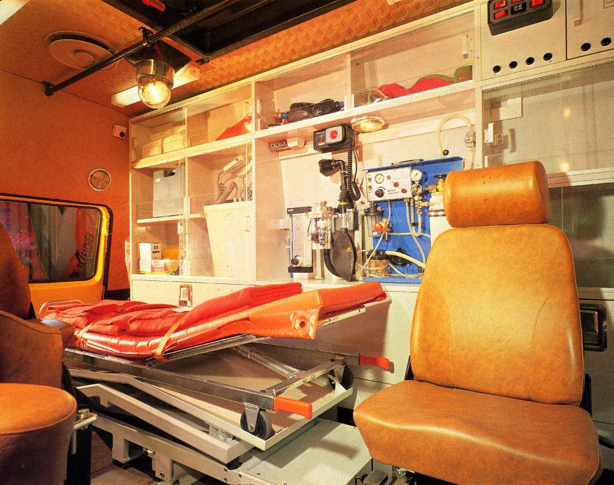 Салон РАФ 2203 Тамро