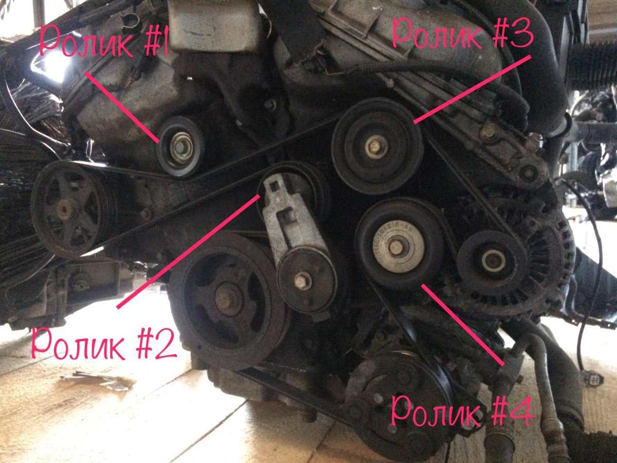 Ремень генератора Ягуар x-Type 2.5