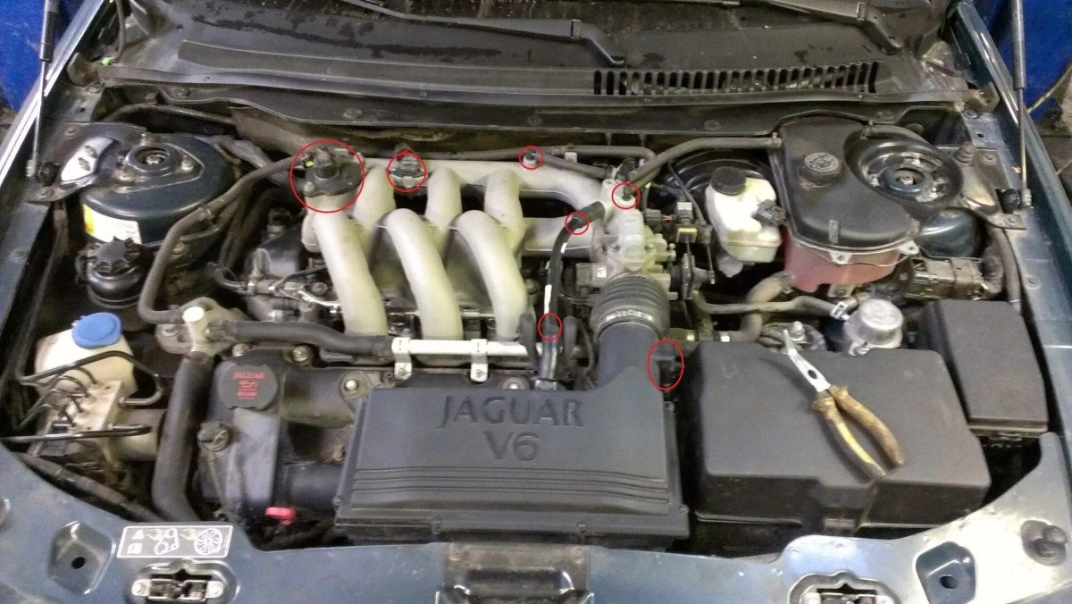 Расположение цилиндров Ягуар x-Type 2.1