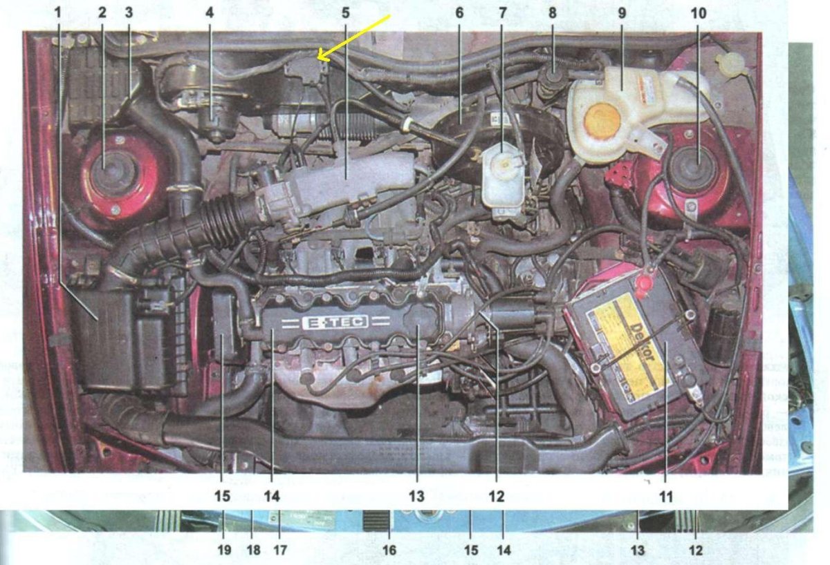 Под капотом Дэу Нексия 16 клапанов