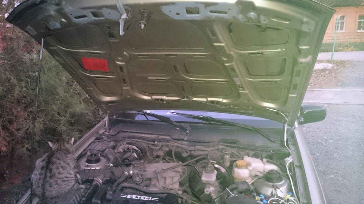 Шумоизоляция подкапотного пространства