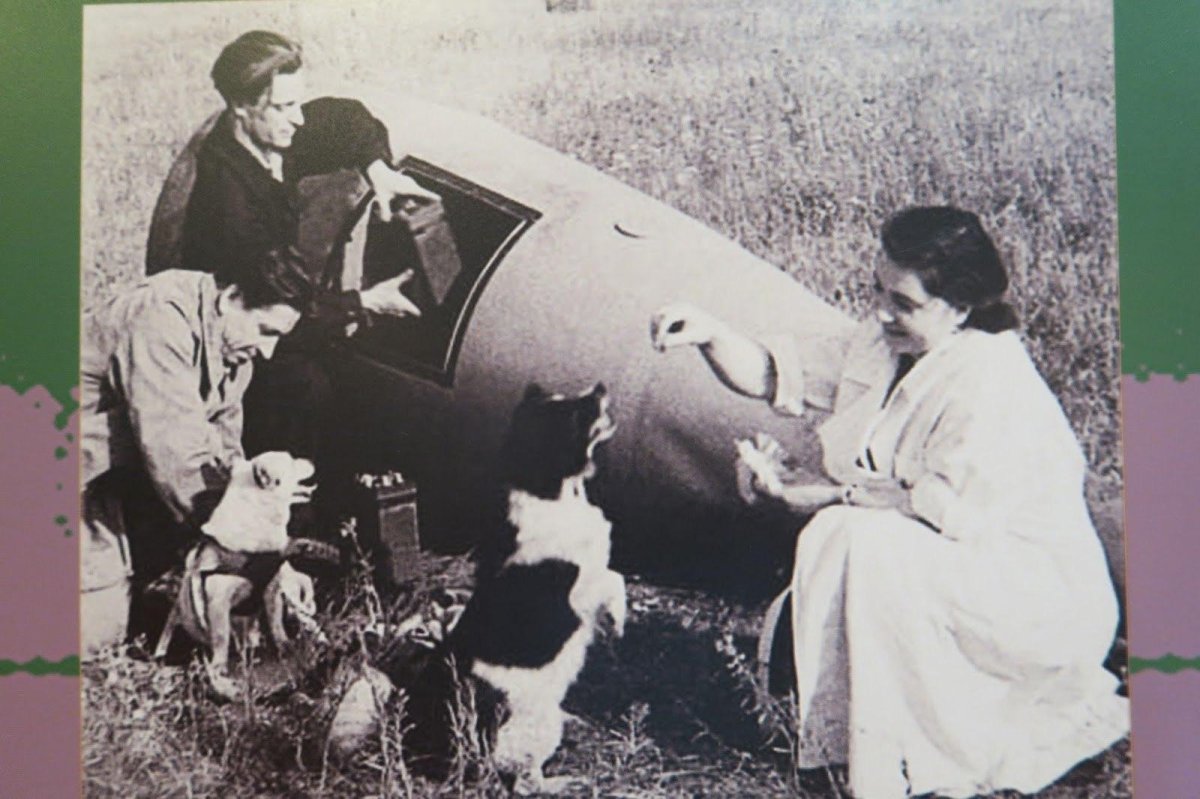 Первый полет в космос белки и стрелки