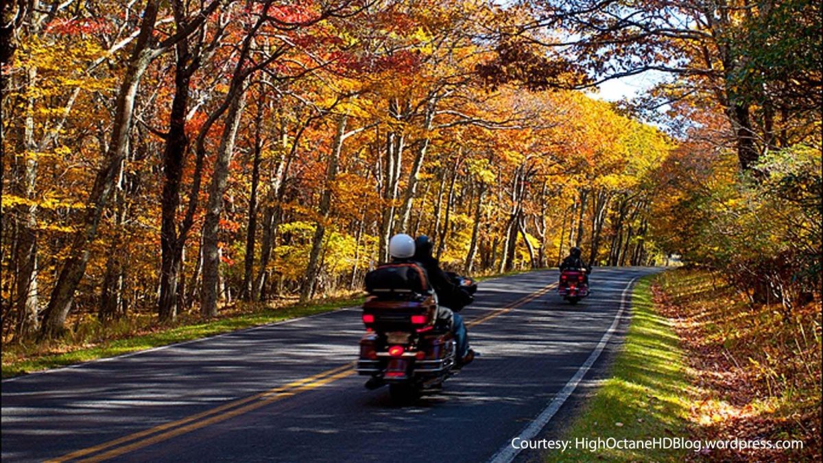 Мотоцикл на осенней дороге