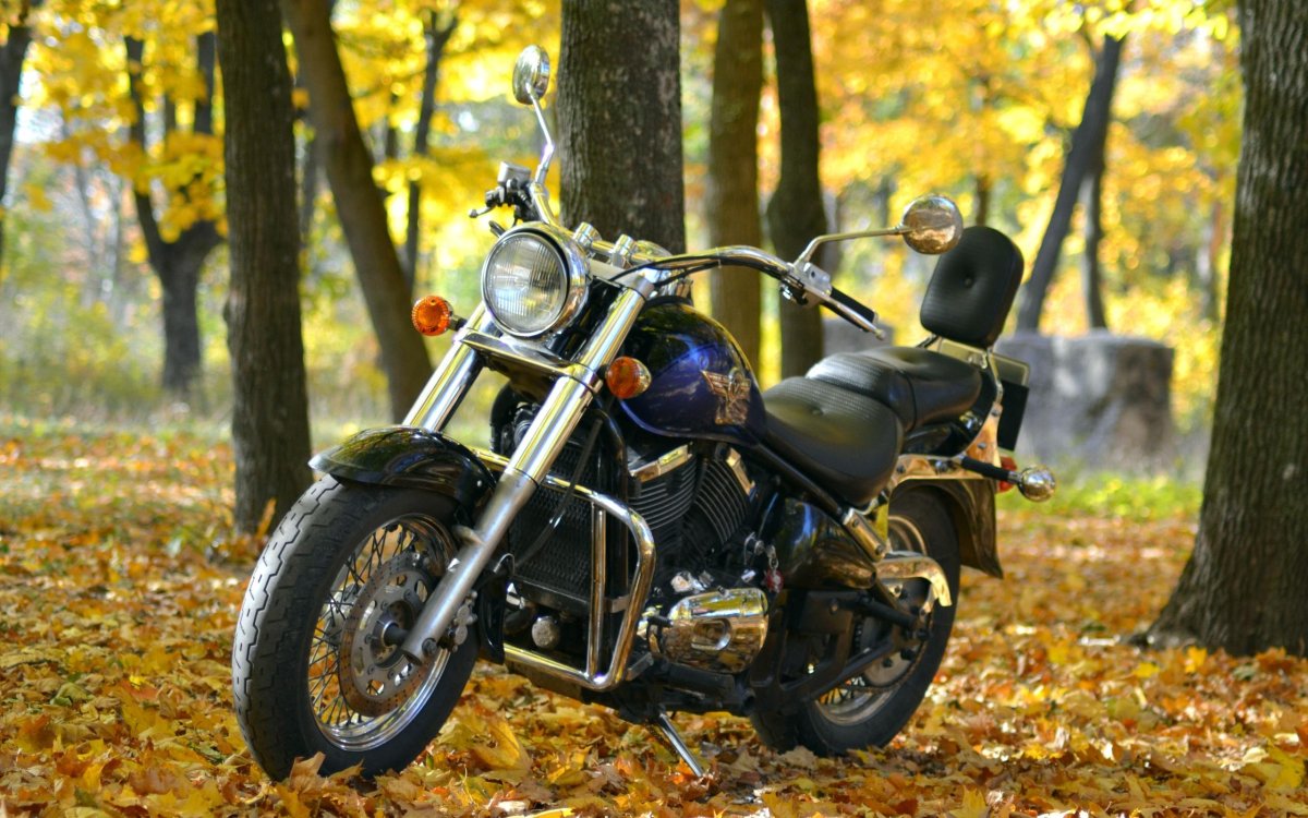 Kawasaki Vulcan 800 Classic