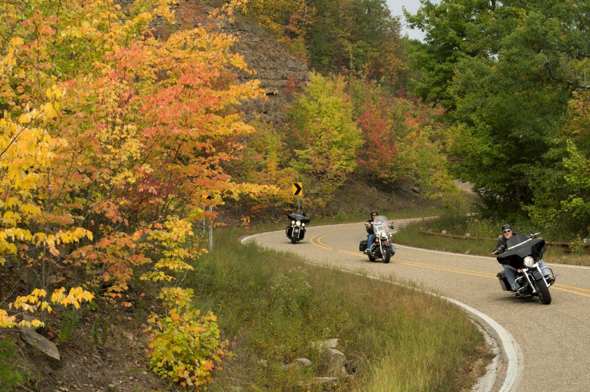 Харли Девинсон мотик осень