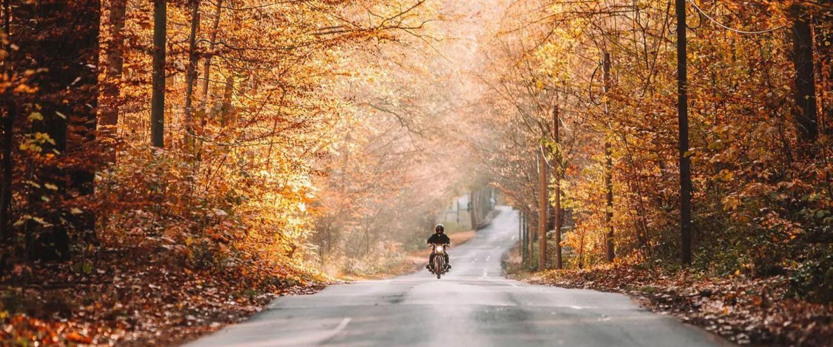 Осенняя дорога