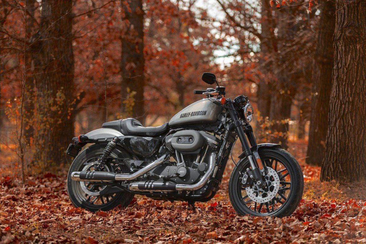 Harley Davidson Silver