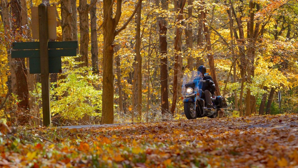 Мотоциклист осень