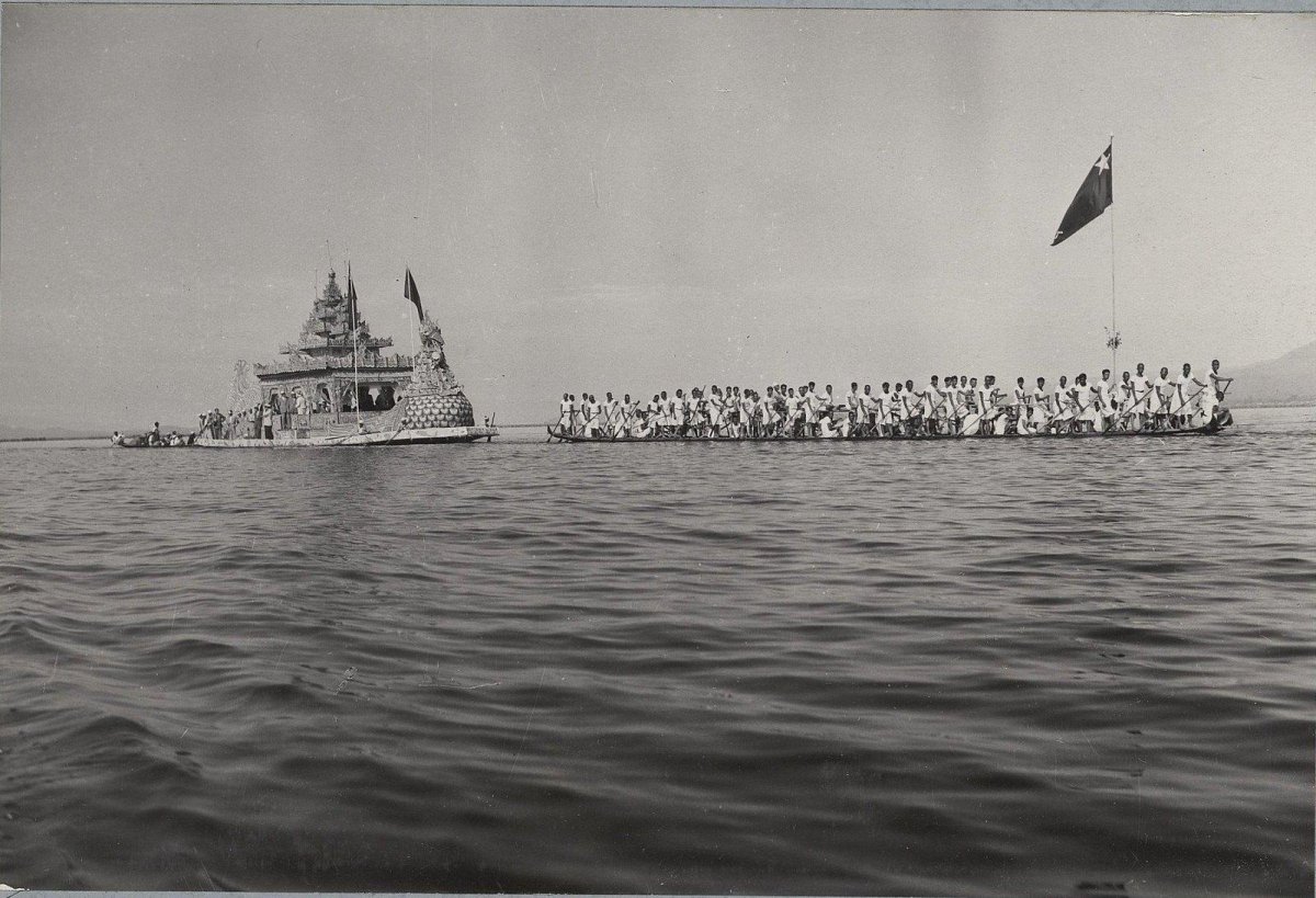 Зол Чайка архивные фото