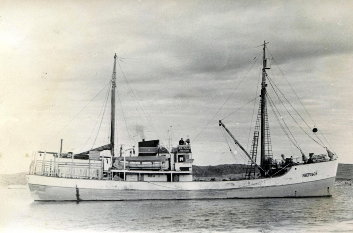 Зверобойное судно типа "Белек" проект 220