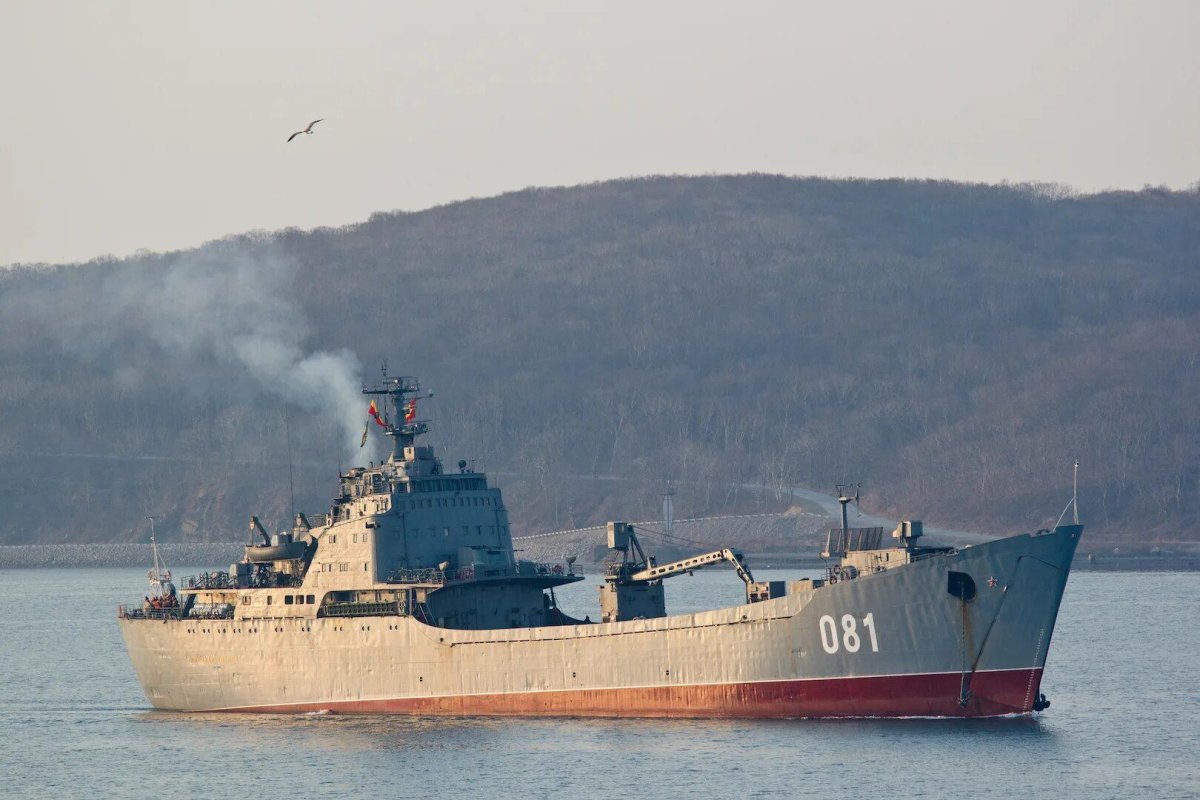 БДК Николай Вилков