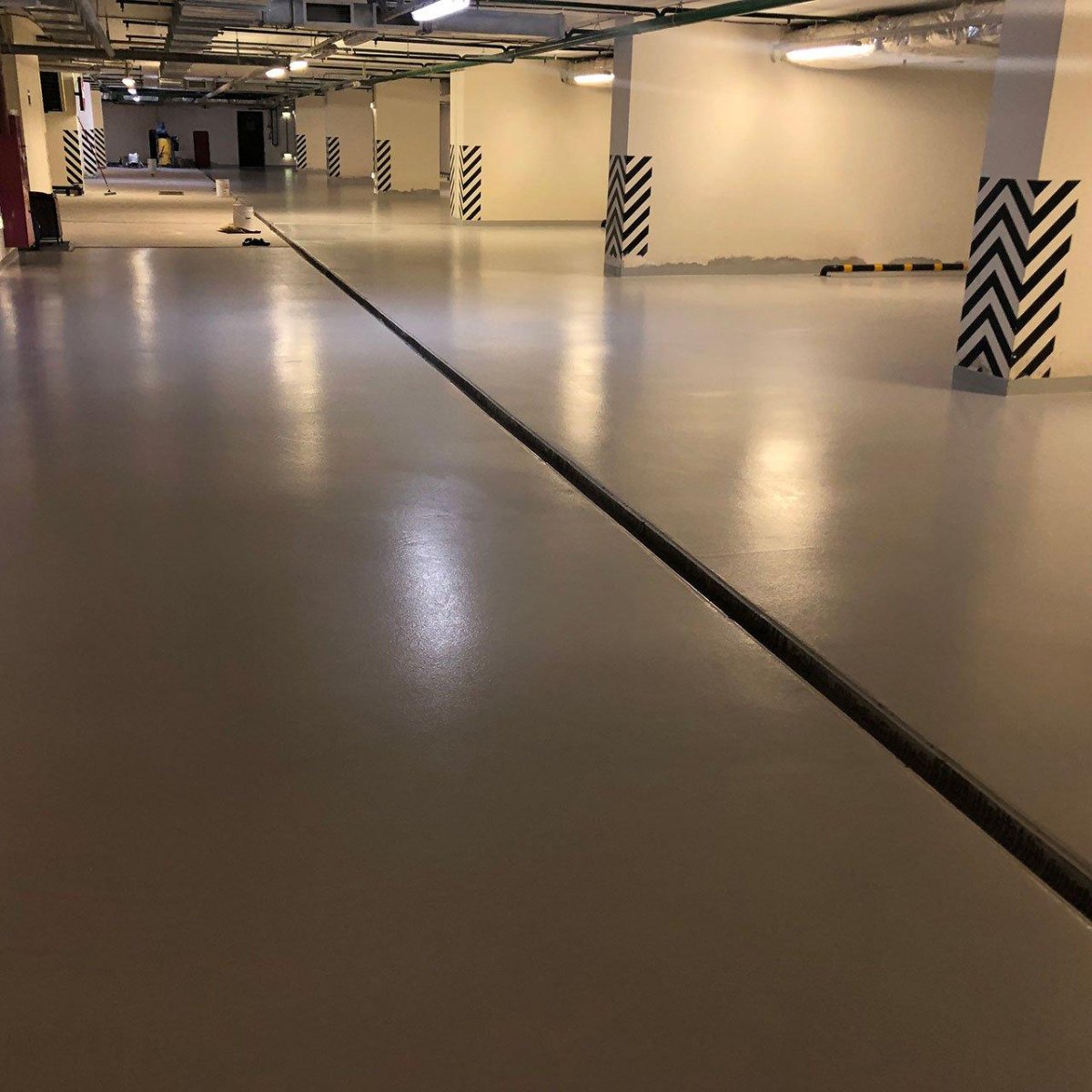 Полиплан 206