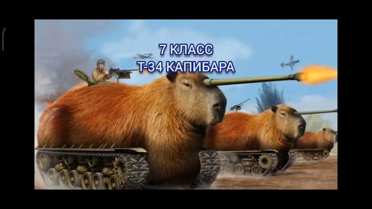 Капибара генерал