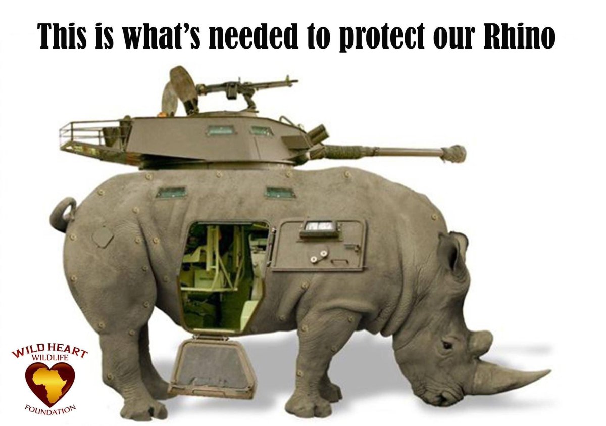 Боевой носорог