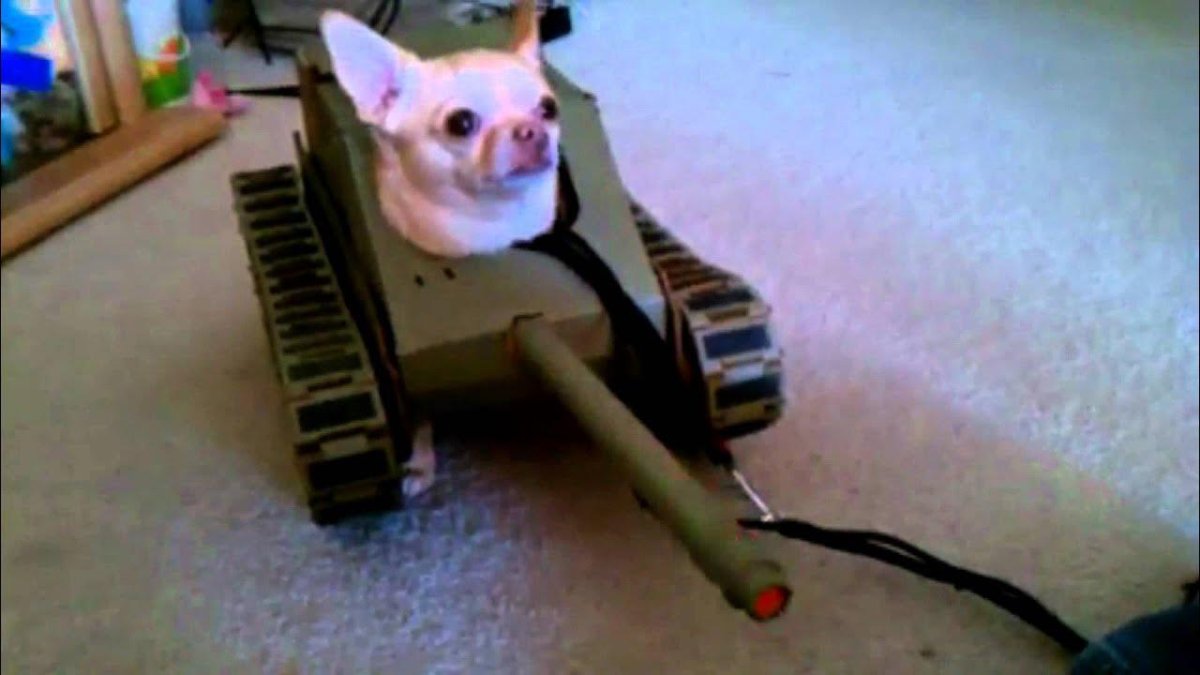 Кот танкист