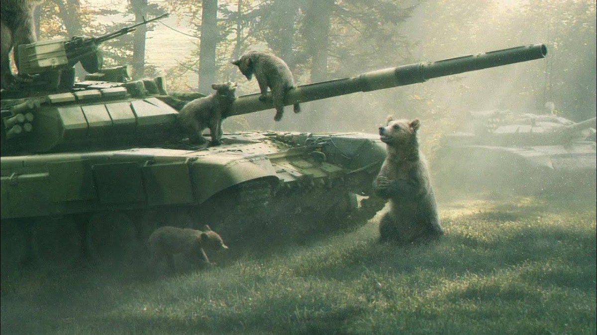 Медведь на танке