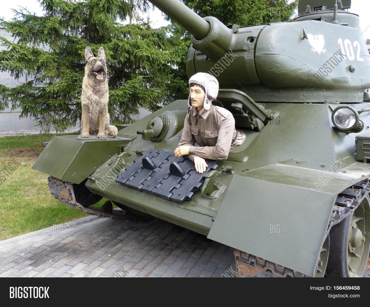 Танка собака