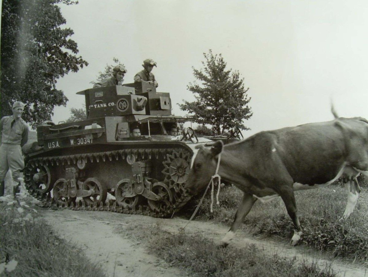 Корова танк
