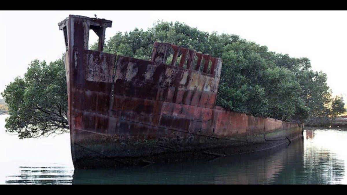 Корабль SS Ayrfield