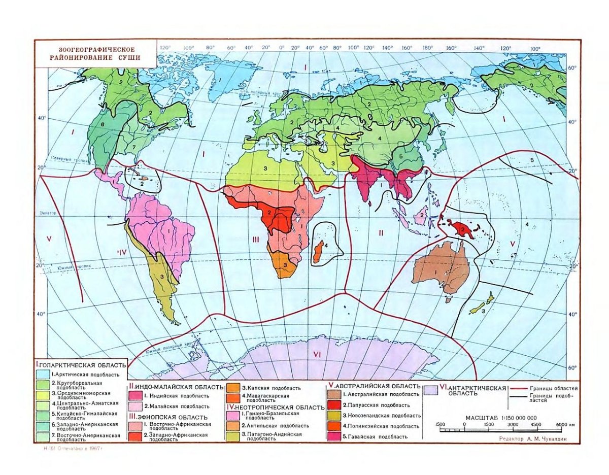 Фаунистические районирование мира карта